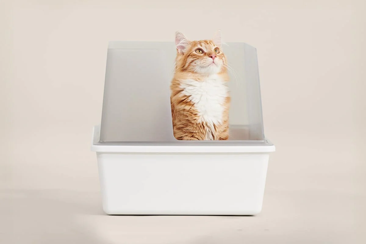 tuft + paw Cubby Litter Box - Image 3