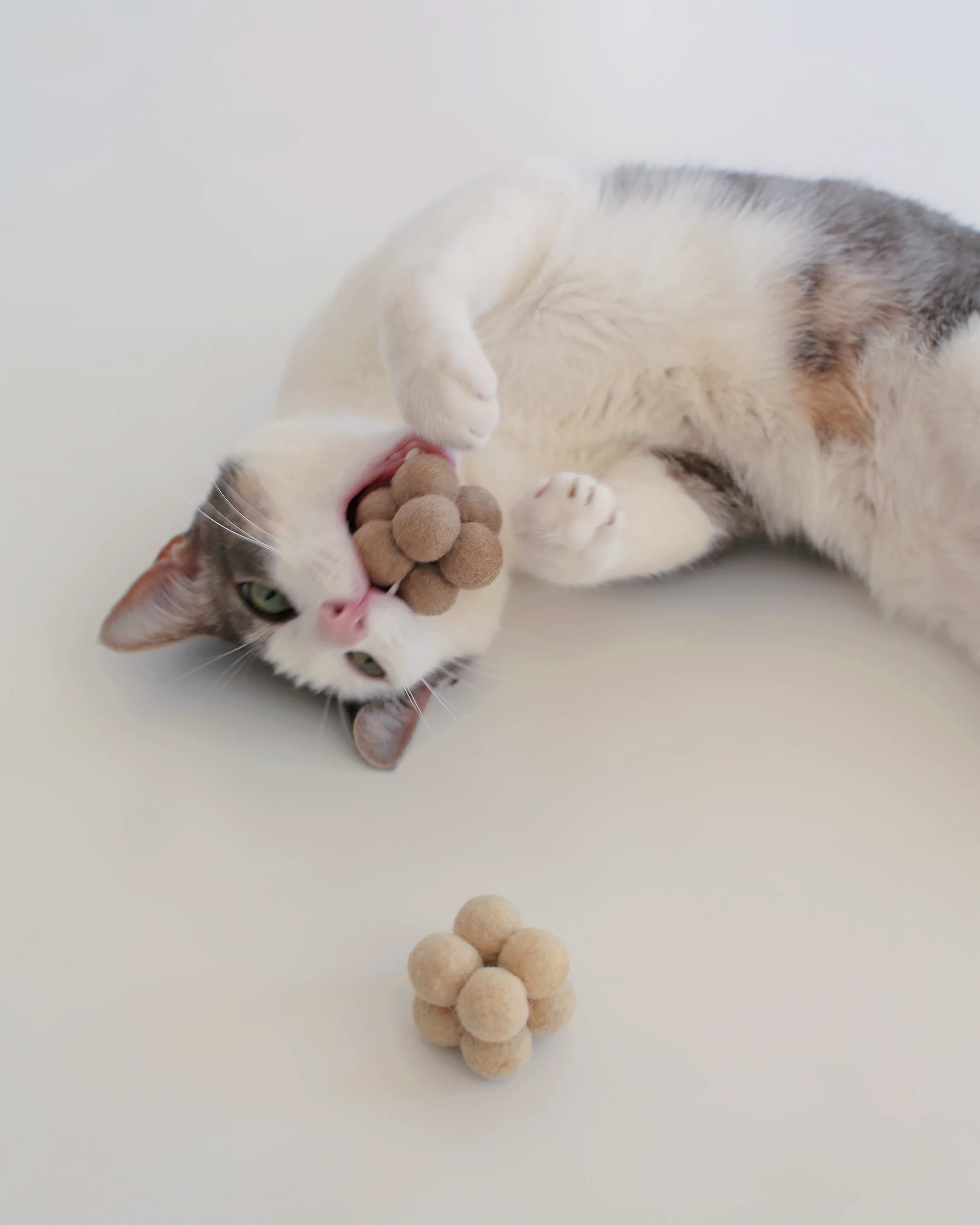 Catenary Pearl Toys - Image 4