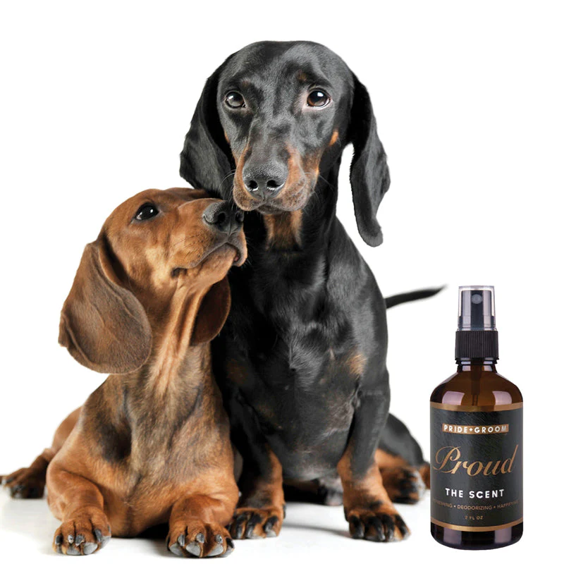 Pride + Groom PROUD Dog & Cat Natural Deodorizing Pet Cologne - Image 2
