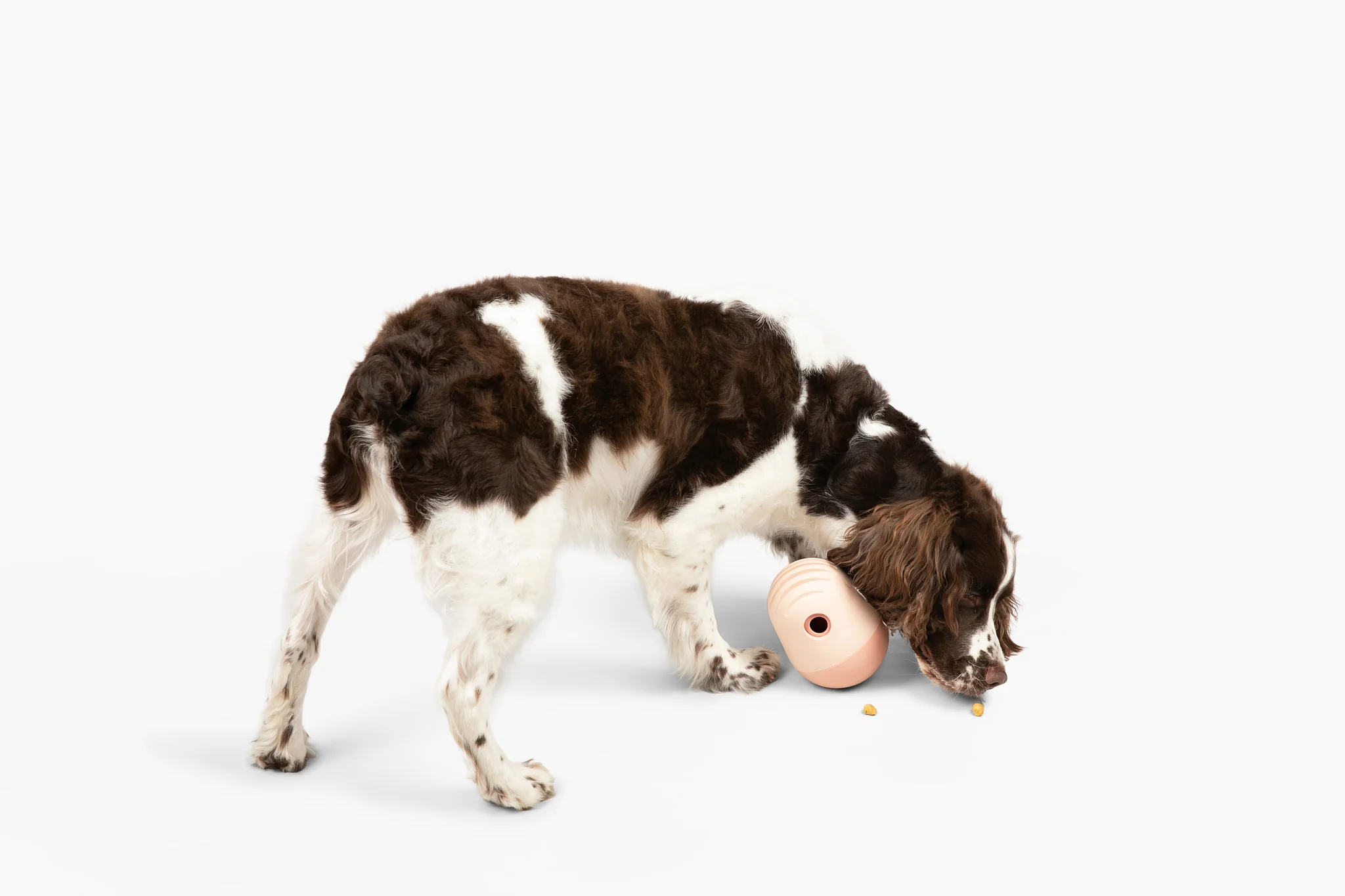 Puffin + Bites Bundle - Image 4