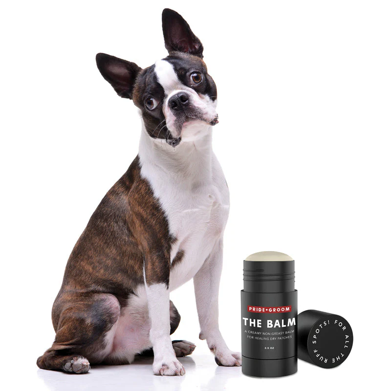 Pride + Groom THE BALM — Natural Paw & Nose Moisturizing Balm for Dogs & Cats - Image 4