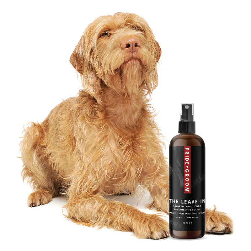 Pride + Groom THE LEAVE IN Dog Detangling Leave in Spray - Image 3