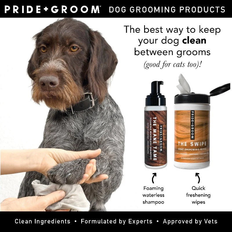 Pride + Groom THE MANE TAME Waterless Dog & Cat Shampoo - Image 4