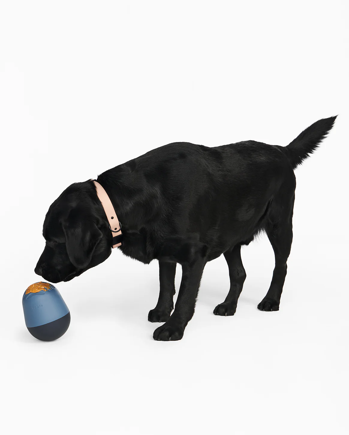 The Puffin™ Game - Image 16