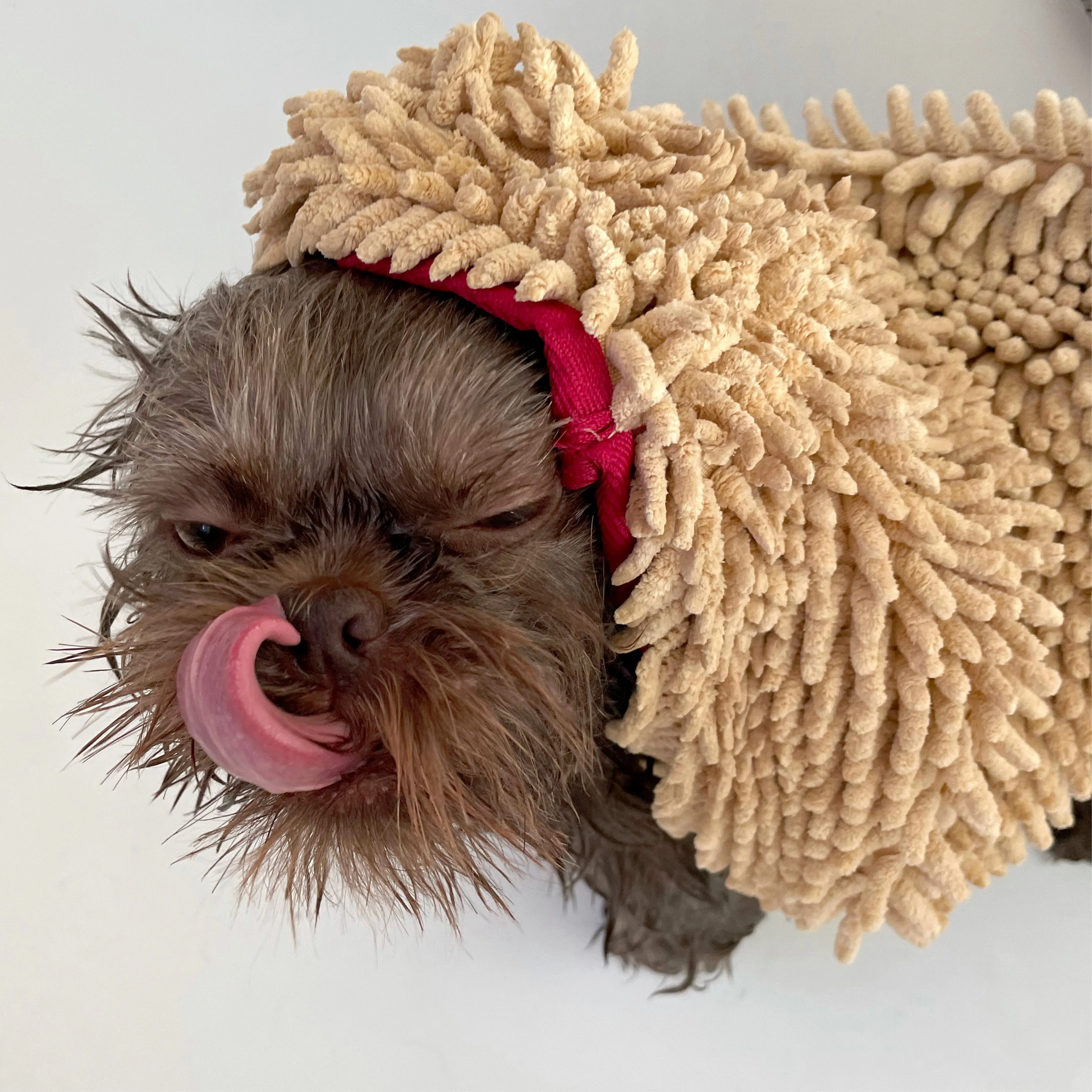 Pride + Groom THE TOWEL Microfiber Dog & Cat Drying Towel - Image 4