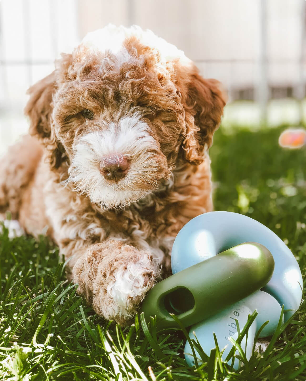 Falcon Toy™ - Image 15